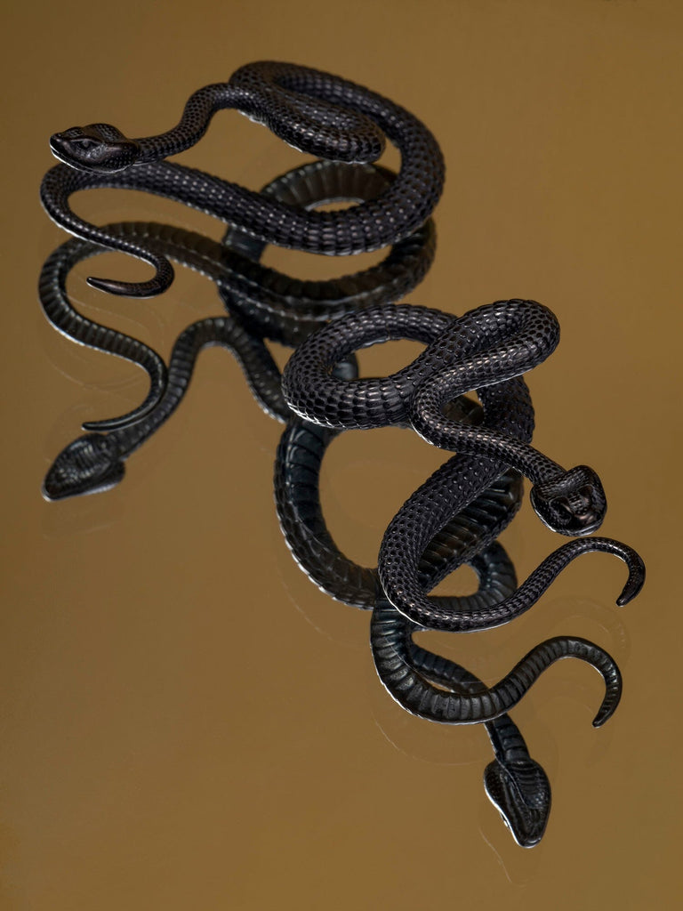 Black Snakes For Ya Ears Steel Hangers